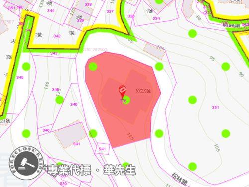 新北新店法拍華廈-4