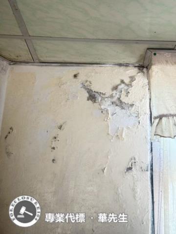 桃園透天法拍-3