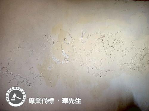 桃園透天法拍-4