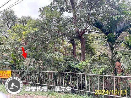 士林公寓法拍-6