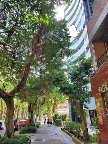 大安區大樓法拍-7