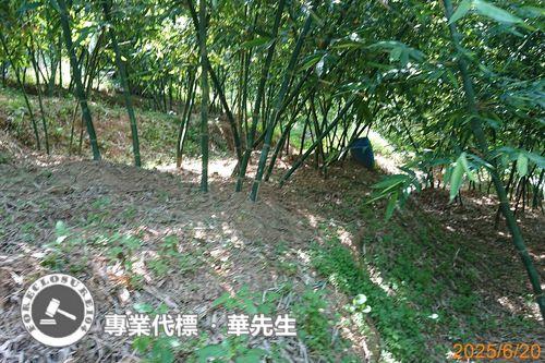 桃園區法拍華廈-9