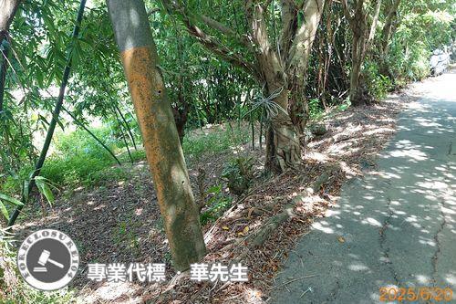 桃園區法拍華廈-8