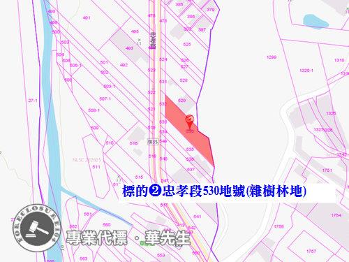 桃園法拍透天-10