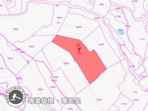 新北淡水農地拍賣-0