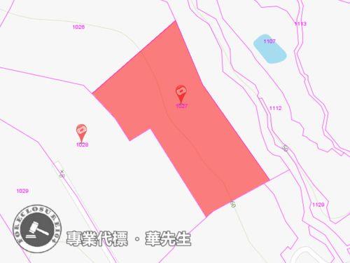 新北淡水法拍農地-0
