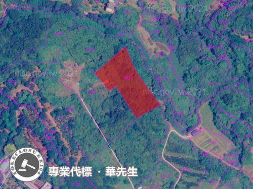 新北淡水法拍農地-2