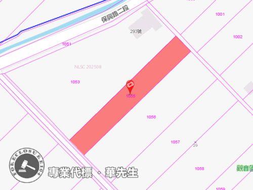 觀音法拍農地-0
